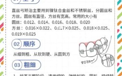 矫正牙齿的弓丝的分类
