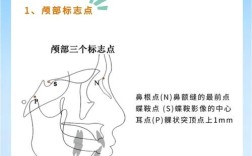 没有头影测量的情况下进行正畸，真的靠谱吗？