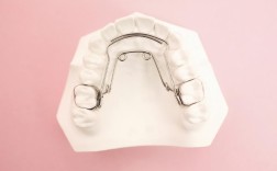 单晶托槽牙齿矫正图片