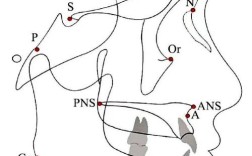 正畸头影测量McNamara