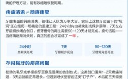 拔牙后种牙时间