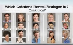 2025最新哪些明星正悄悄矫正牙齿?