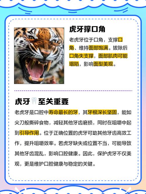 虎牙拔除后能否种植牙？这样做可行吗？有什么影响？-图2