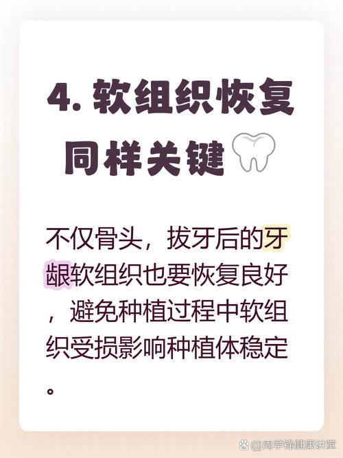 拔了牙多长时间可以种牙-图1