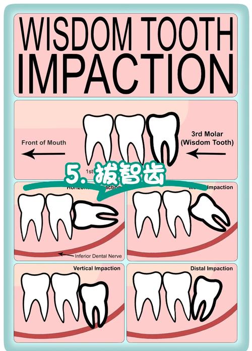 正颌正畸与口腔颌面外科，有何区别与关联？-图1