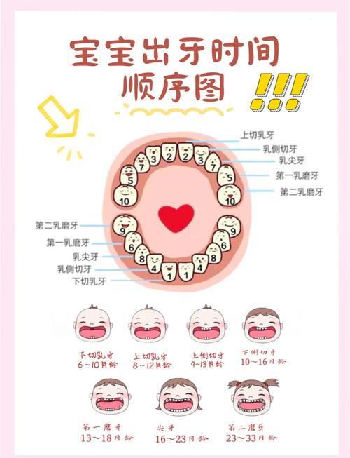 儿童口腔科记录牙齿的方法有哪些具体步骤和技巧？-图1