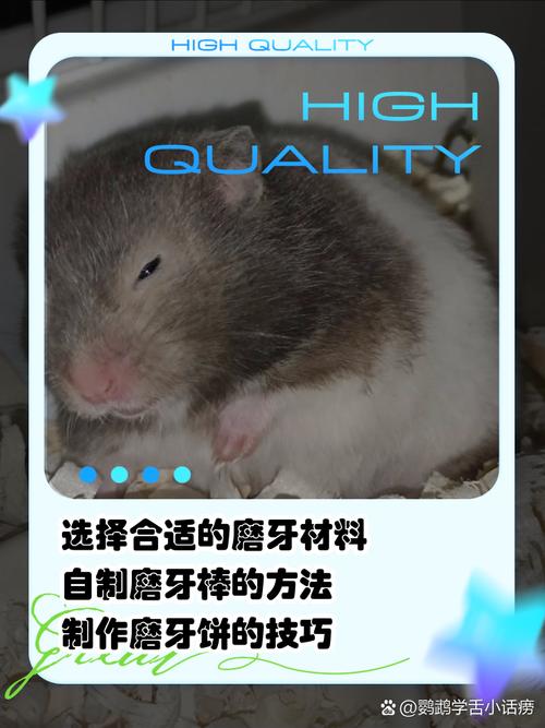 治疗老鼠牙哪种方法效果最好？-图1