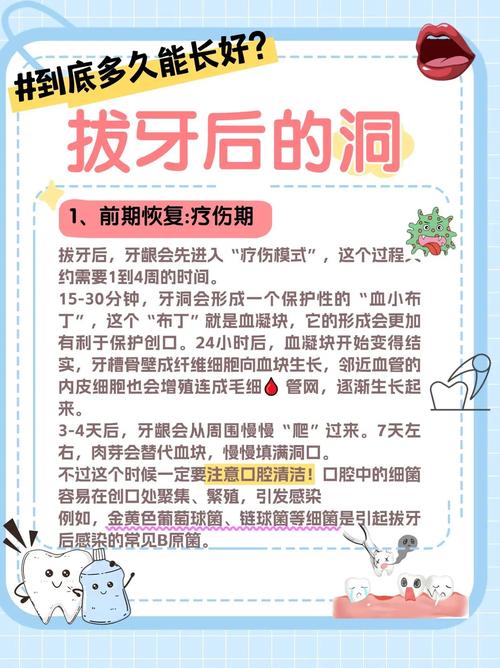 拔牙三天后可以种牙吗?种植牙的最佳时机是什么时候?-图3 拔牙三天后可以种牙吗?种植牙的最佳时机是什么时候?-图3