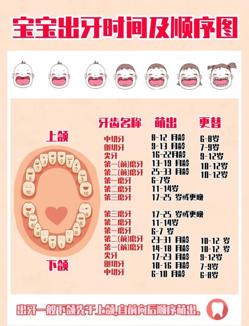 种全口牙后需要休息多久才能恢复？-图2