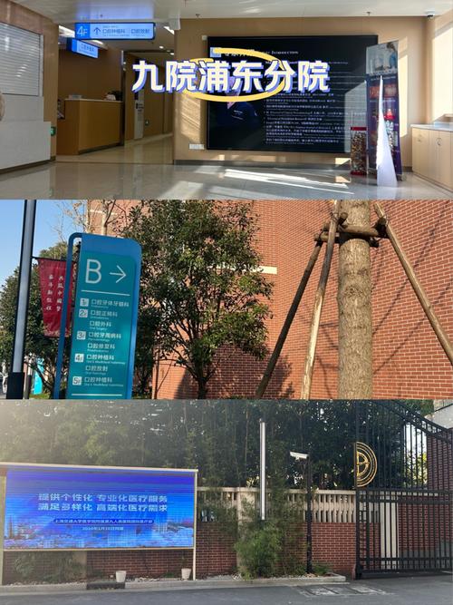 上海九院种牙患者真实感受如何？效果与体验究竟怎样？-图2