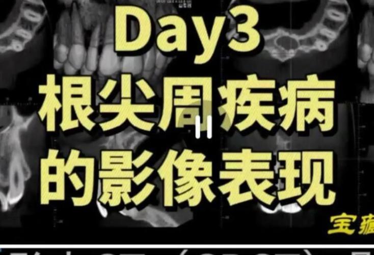 拜博口腔和拜博龙尔-图3