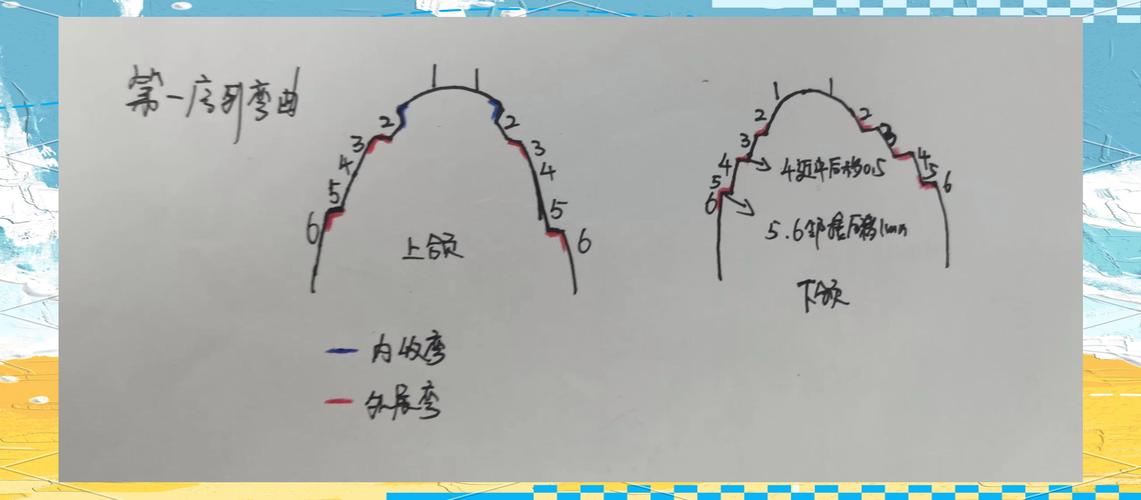 正畸横腭杆弯制方法的关键步骤、操作技巧及注意事项有哪些？-图1