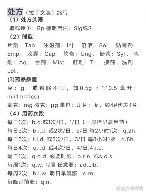 口腔正畸支抗钉英文缩写-图1