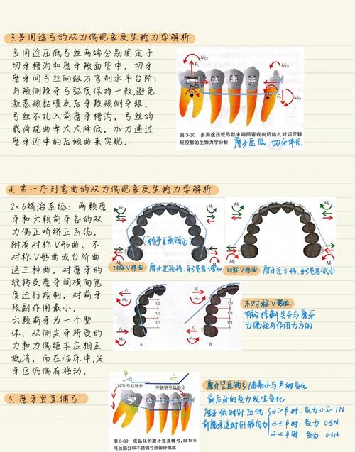 正畸方法压低伸长的牙-图1