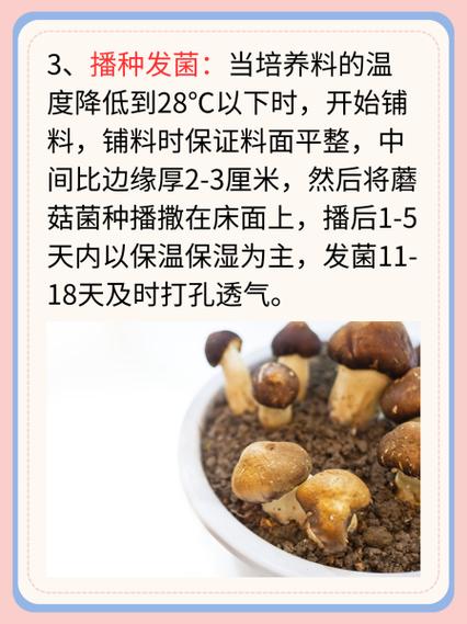 口磨种植方法图片欣赏，图片能清晰展示有哪些具体种植步骤和技巧？-图2