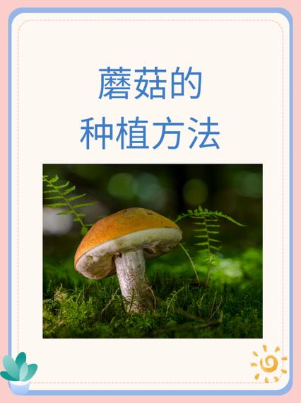 口磨种植方法图片欣赏，图片能清晰展示有哪些具体种植步骤和技巧？-图1