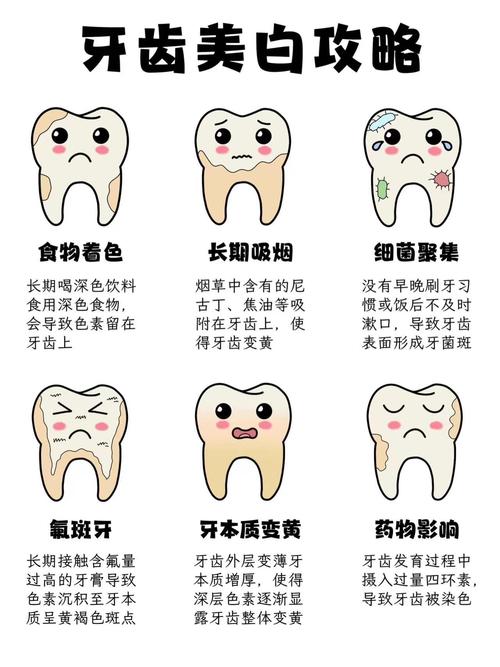 天然牙颜色的测定方法-图2