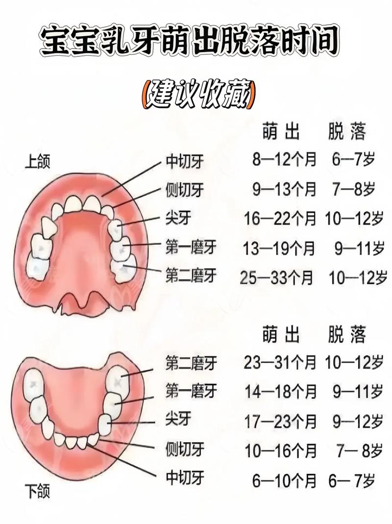 牙掉多长时间可以种牙-图3