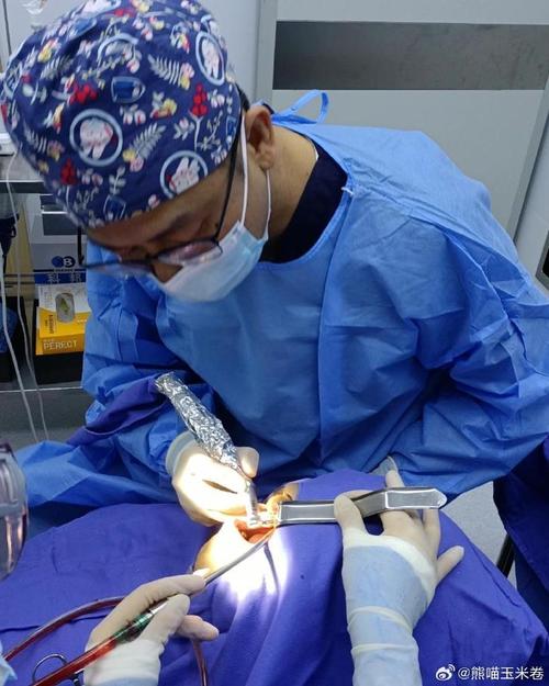 沈阳医大口腔医院种牙-图2