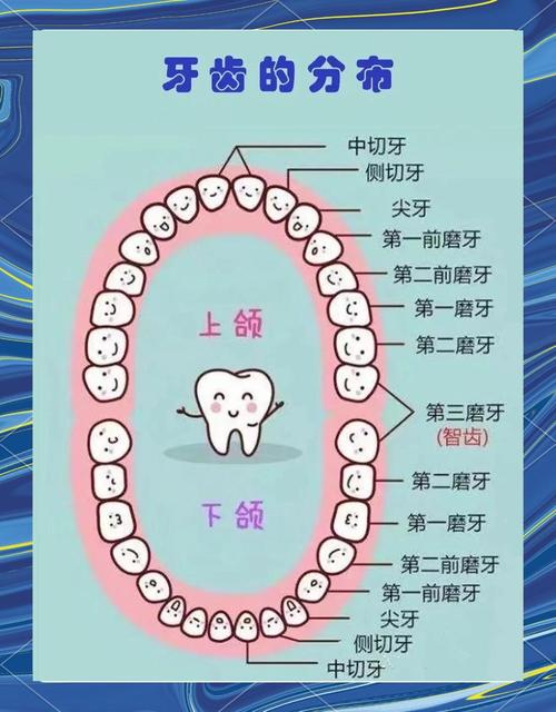 种一颗牙一般需要多长时间完成?-图1 种一颗牙一般需要多长时间完成?-图1