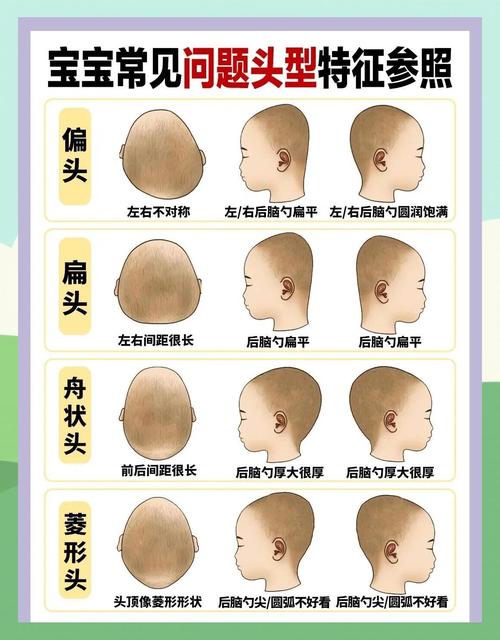 正畸与颅面生长发育图-图3