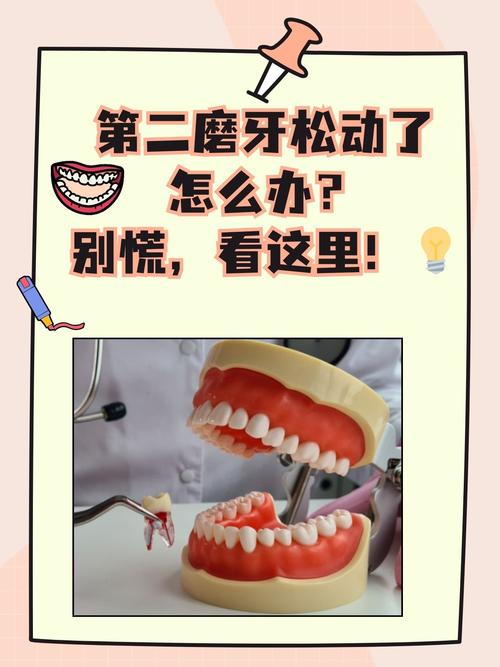 牙齿松动最好治疗方法-图2