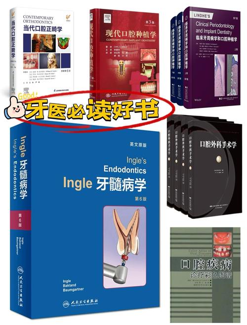 正畸生物力学该看哪本经典入门书籍？-图2