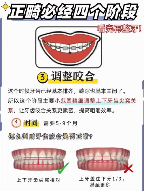 进修生口腔正畸学计划如何提升临床实践能力？-图1