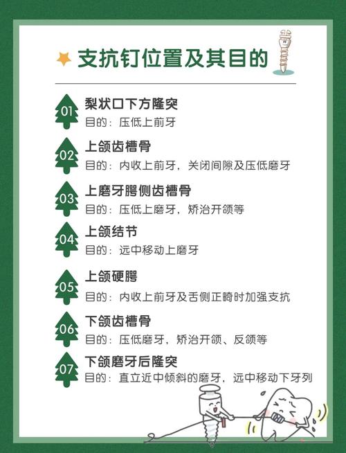 正畸支抗的三种类型具体指哪几种？-图1