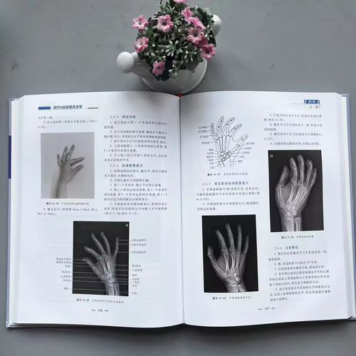 下颌骨X线投照方法的选择与操作要点有哪些？-图2