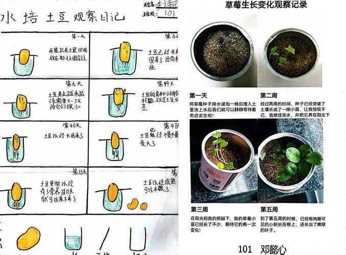 不同种植体种植方法有何差异？如何选择合适的方案？-图3