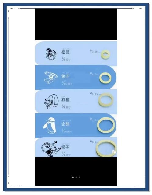 牙齿正畸为何用上皮筋？作用揭秘-图1