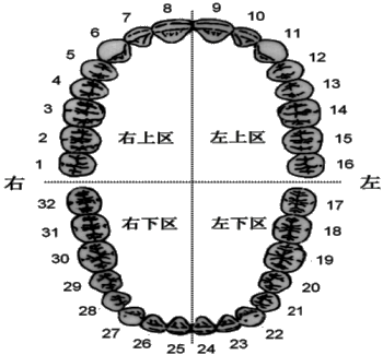 口腔科记录牙齿方法-图2 口腔科记录牙齿方法-图2