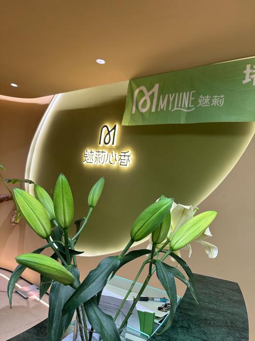 杭州种牙为何皆约格莱美？其独特优势究竟是什么？-图3