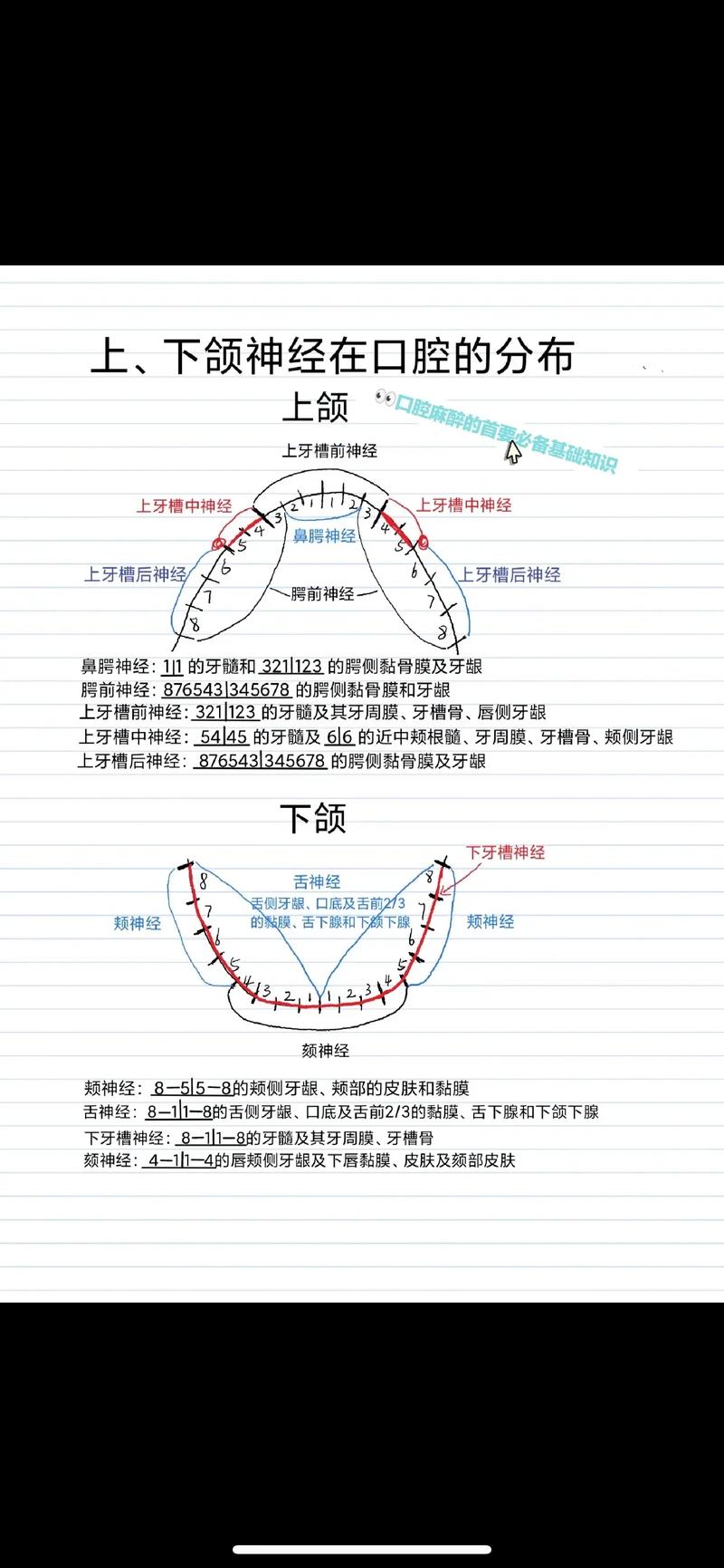 口腔科常用麻醉方法-图1 口腔科常用麻醉方法-图1