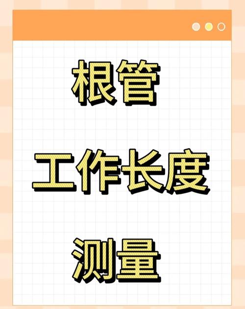 临床上如何准确确认根管长度的常用方法有哪些？-图2