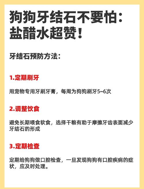 口腔藻酸盐印模材料调配的正确方法是什么?-图3 口腔藻酸盐印模材料调配的正确方法是什么?-图3