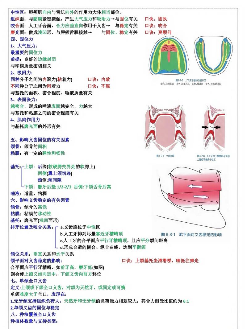 牙周咬合检查的具体方法有哪些?如何正确操作和判断?-图3 牙周咬合检查的具体方法有哪些?如何正确操作和判断?-图3