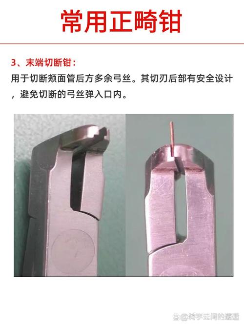 正畸如何磨细丝钳使其保持锋利？-图2
