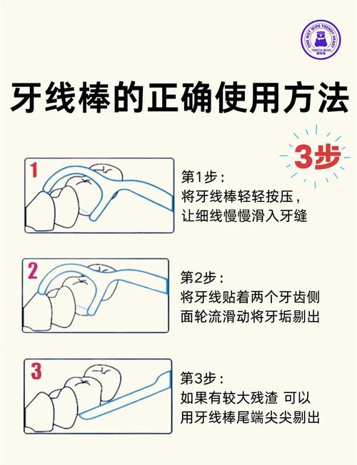 如何科学锻炼牙齿力量?有效方法与安全注意事项有哪些?-图1 如何科学锻炼牙齿力量?有效方法与安全注意事项有哪些?-图1