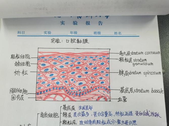 口腔干细胞保存方法-图1