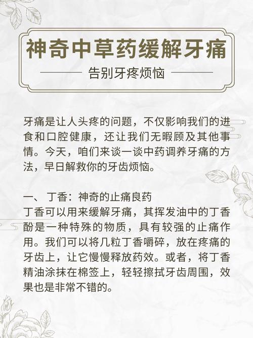牙疼有什么特效方法-图2 牙疼有什么特效方法-图2
