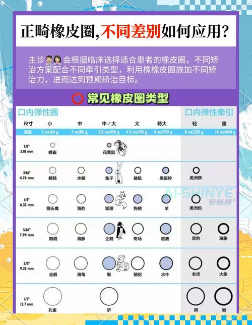 正畸橡皮圈的使用原则具体包含哪些关键内容？-图1