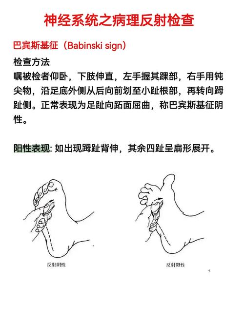 Tweed测量方法在正畸诊断中的核心指标有哪些？不同面部类型下如何优化其测量准确性？-图1