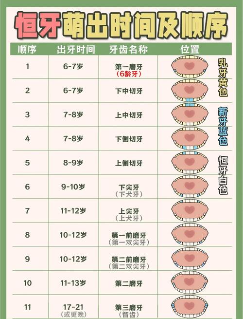 种牙一般需要多长时间？不同口腔状况下种植周期会有哪些差异？-图3