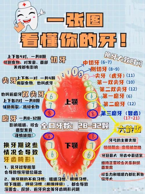 正畸牙齿的具体流程包含哪些步骤?不同阶段分别需要多长时间,哪些因素会影响整体矫正时长?-图2 正畸牙齿的具体流程包含哪些步骤?不同阶段分别需要多长时间,哪些因素会影响整体矫正时长?-图2
