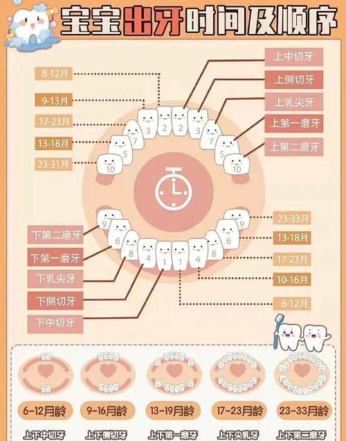 孩子种牙的最佳时间究竟是什么？错过不同年龄段会有哪些发育风险？-图3