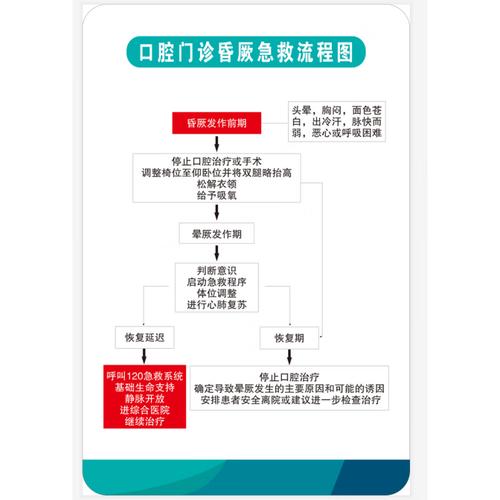 当牙齿突然脱落、口腔大出血或颌面部创伤等急诊发生时,普通人该如何正确实施口腔科急救?哪些方法能最大限度保存牙齿或控制出血,又有哪些常见误区需要警惕?-图1 当牙齿突然脱落、口腔大出血或颌面部创伤等急诊发生时,普通人该如何正确实施口腔科急救?哪些方法能最大限度保存牙齿或控制出血,又有哪些常见误区需要警惕?-图1