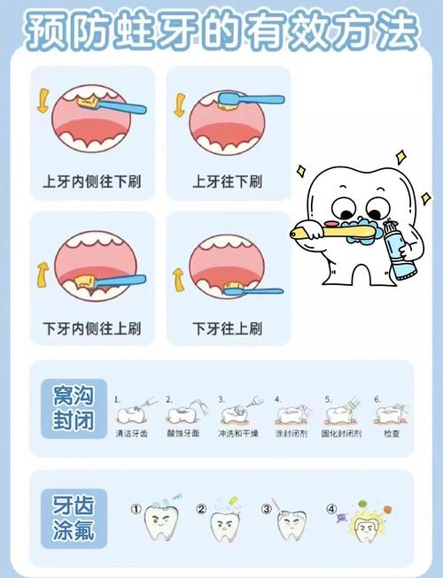 牙齿护理方法有哪些？不同人群的日常清洁、专业护理及常见误区全解析？-图3
