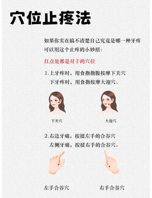 按摩牙龈的正确方法-图1 按摩牙龈的正确方法-图1